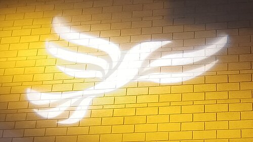 Lib Dem logo bird projected on blockwork